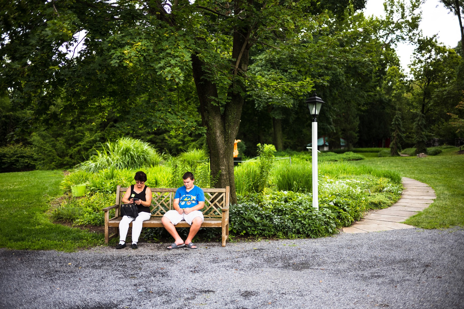 Quiet Moments in Nature