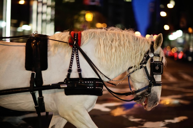 Urban Elegance at Dusk