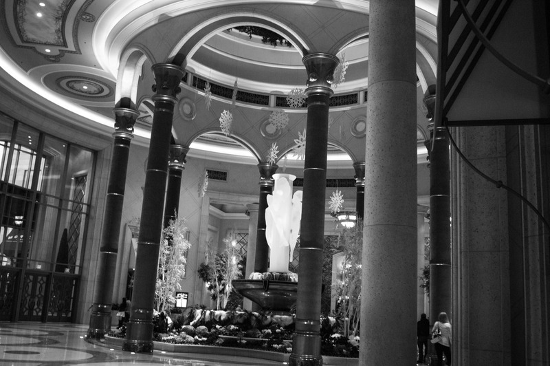 Elegance in Monochrome