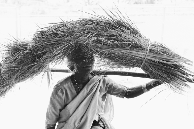 Resilience in Shadows