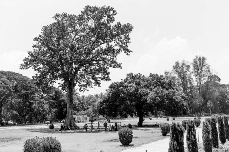 Quiet Respite in Nature