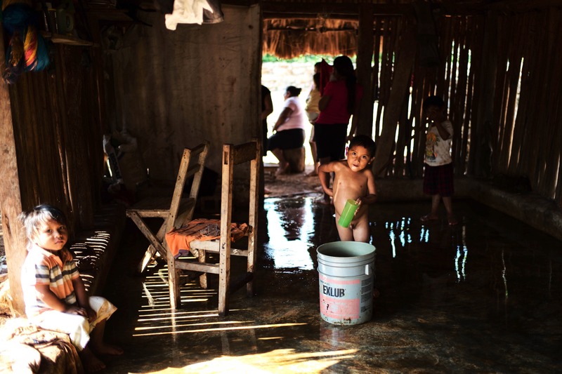 Life in Simple Surroundings