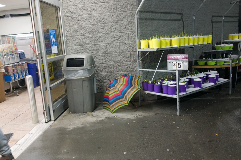 Forgotten Colors of Rain