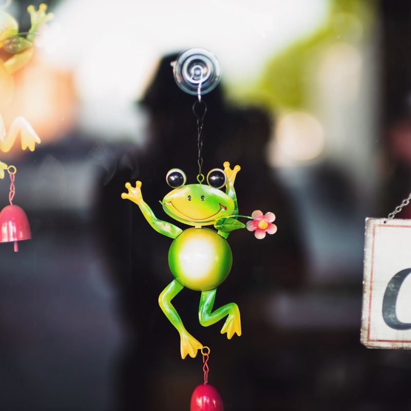 Joyful Frog Display