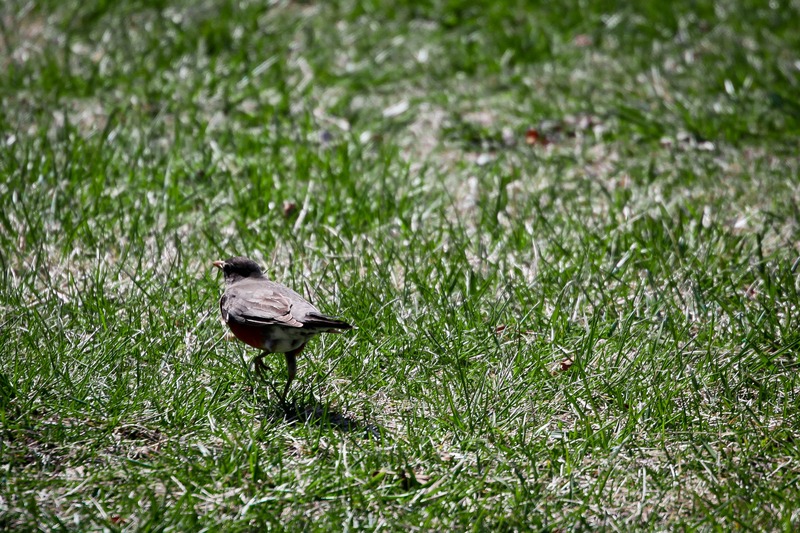 Quiet Moment in Nature