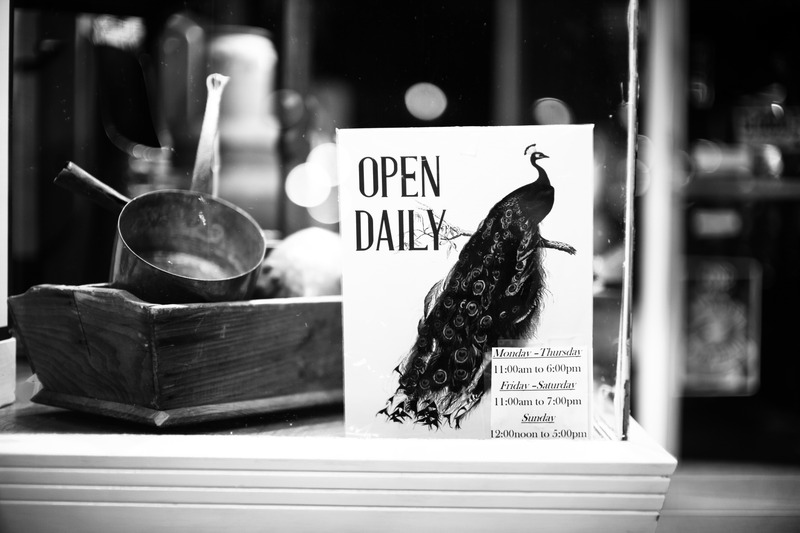 Peacock in Monochrome