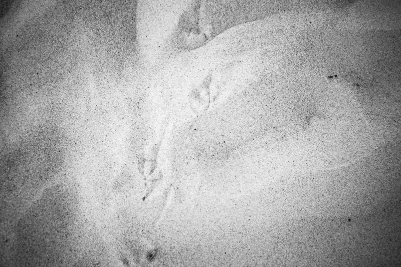 Whispers in the Sand