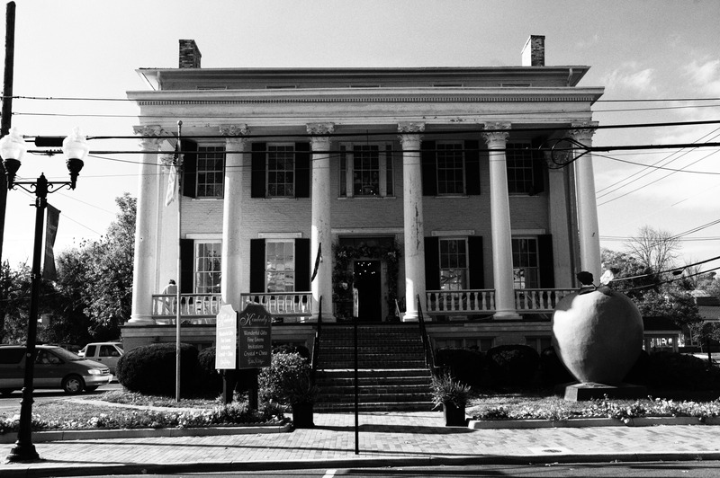 Elegant Heritage in Monochrome