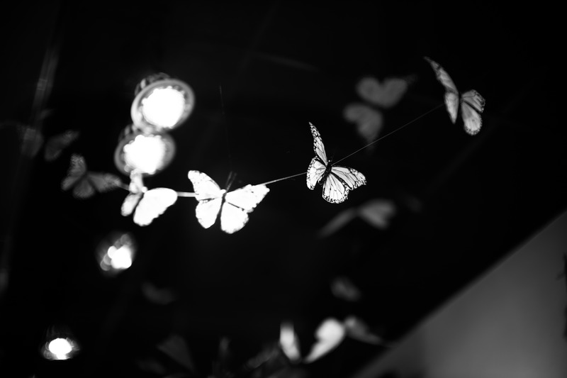 Ethereal Butterflies in Flight
