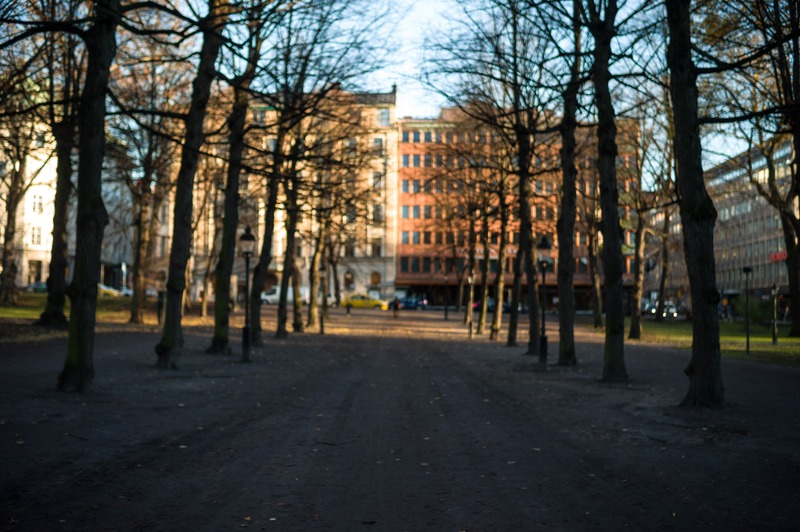 Urban Glimpse through Trees