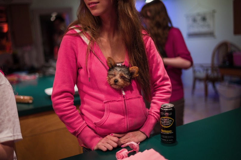 Cozy Moments with a Pup