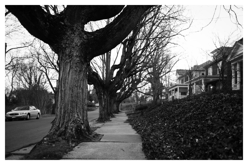 Echoes of Autumn's End