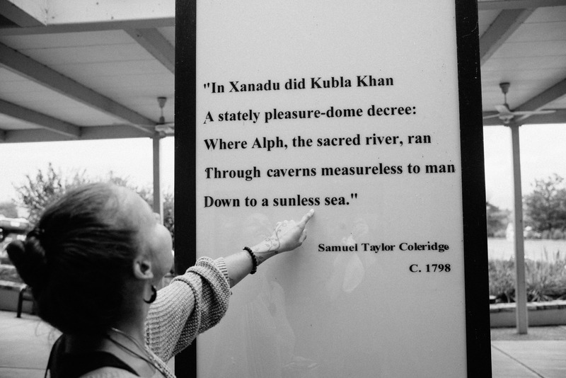 Echoes of a Poetic Dream