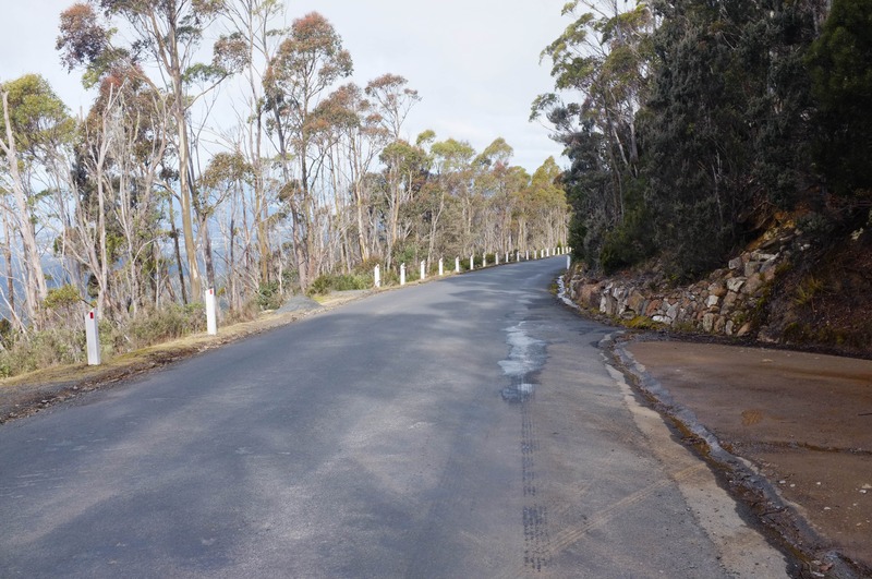 Winding Road in Nature