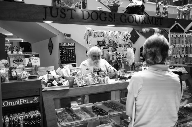 Whimsical Dog Shop Encounter