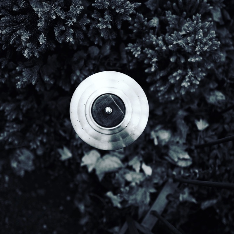 Reflections of Nature