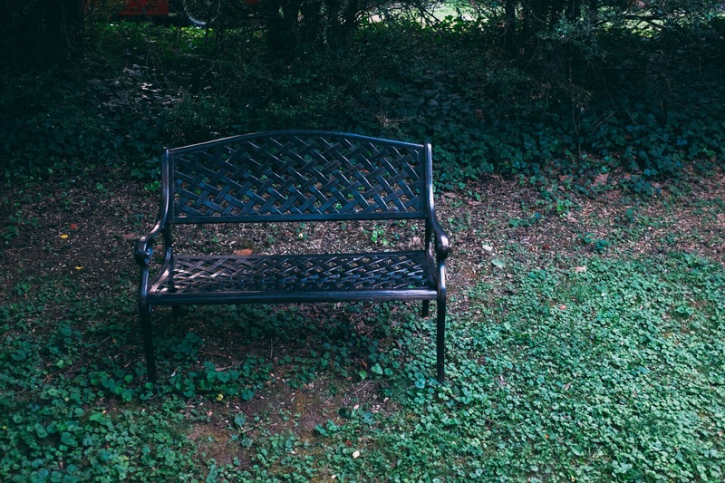 Solitary Bench in Nature