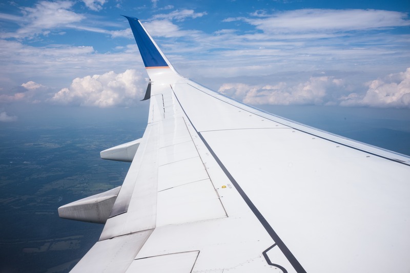 Wings Over Blue Skies