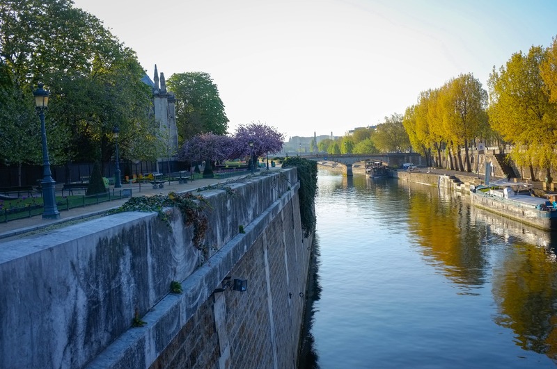 Morning Serenity on the Seine