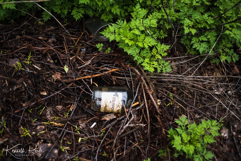 Nature's Forgotten Treasures