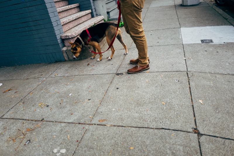 A Moment on the Sidewalk