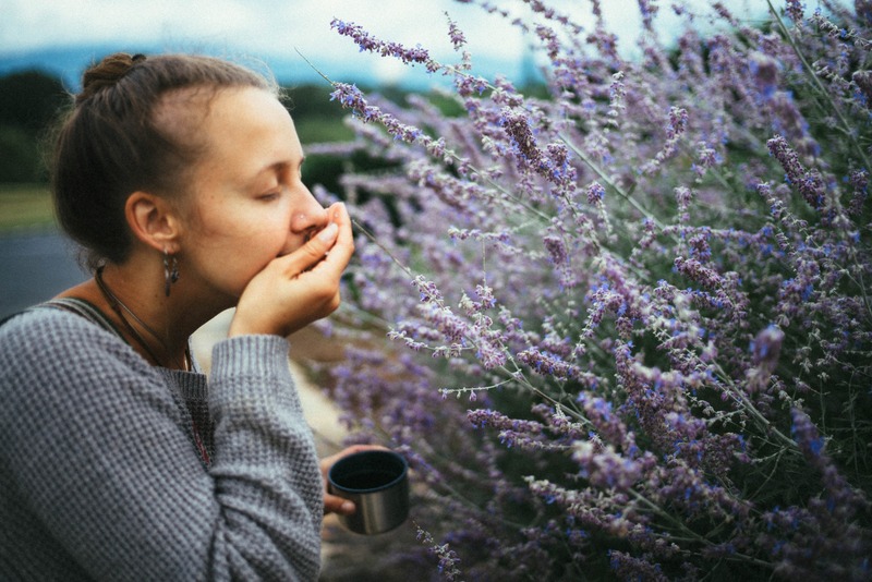 Whispers of Lavender