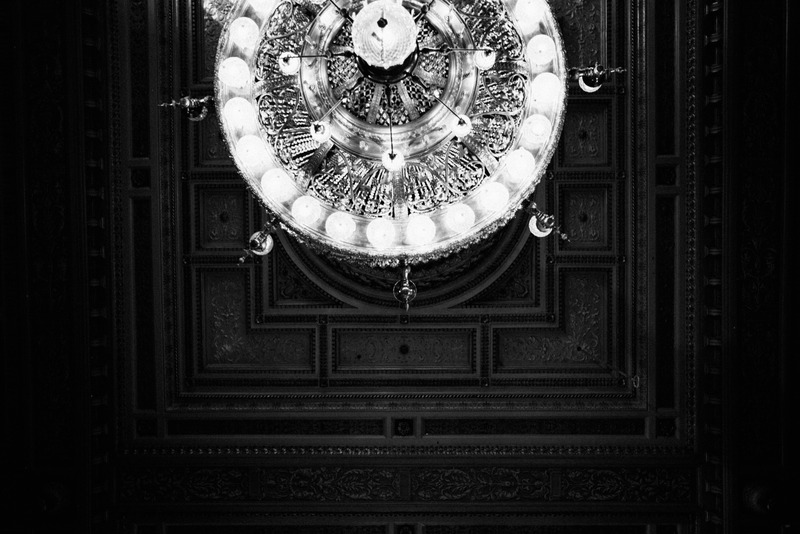 Glistening Elegance Above