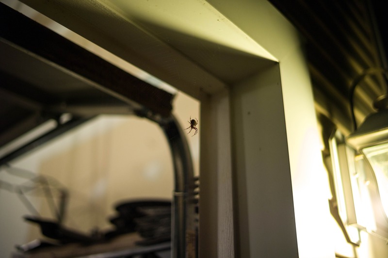 Shadow of the Unseen