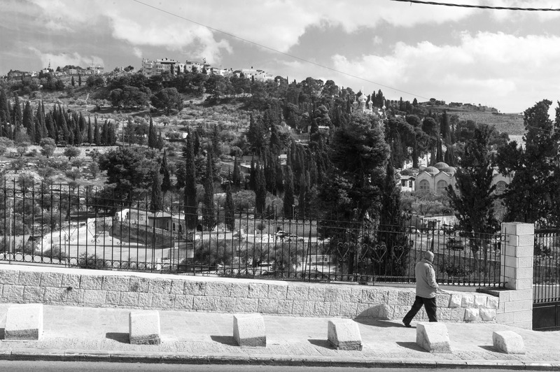 Solitary Stroll in Monochrome