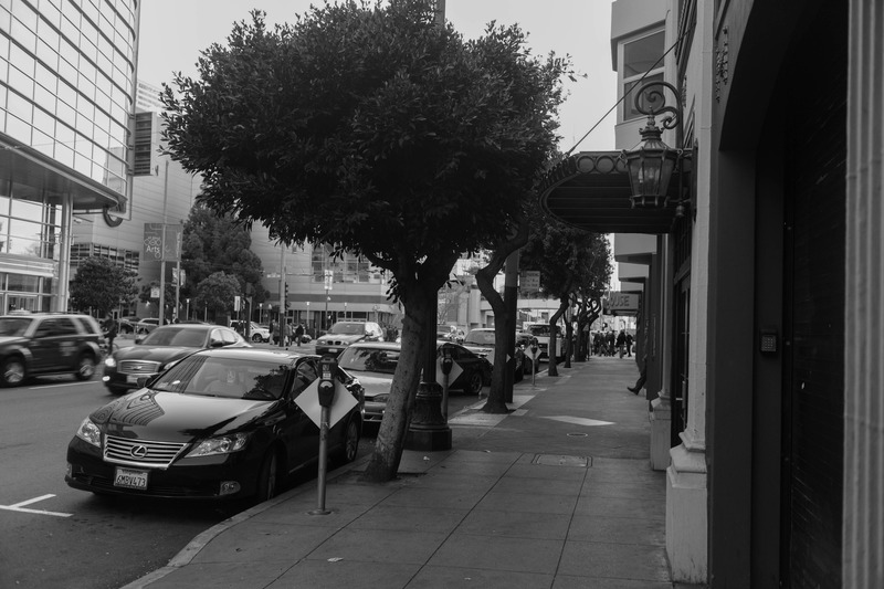 Urban Serenity in Monochrome