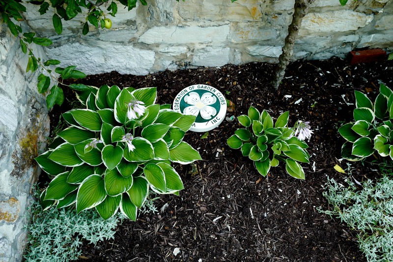 Serenity in the Garden