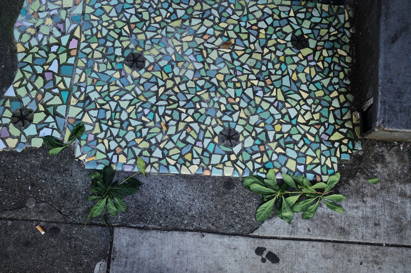 Broken Patterns of Nature