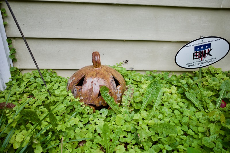 Forgotten Garden Decoration