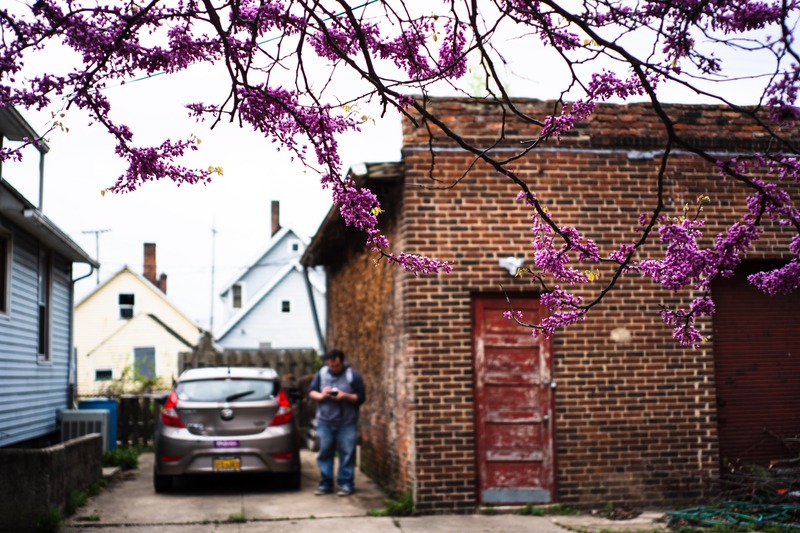 Spring's Gentle Embrace