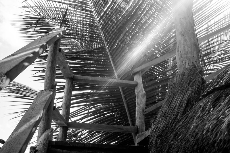 Journey to the Unseen