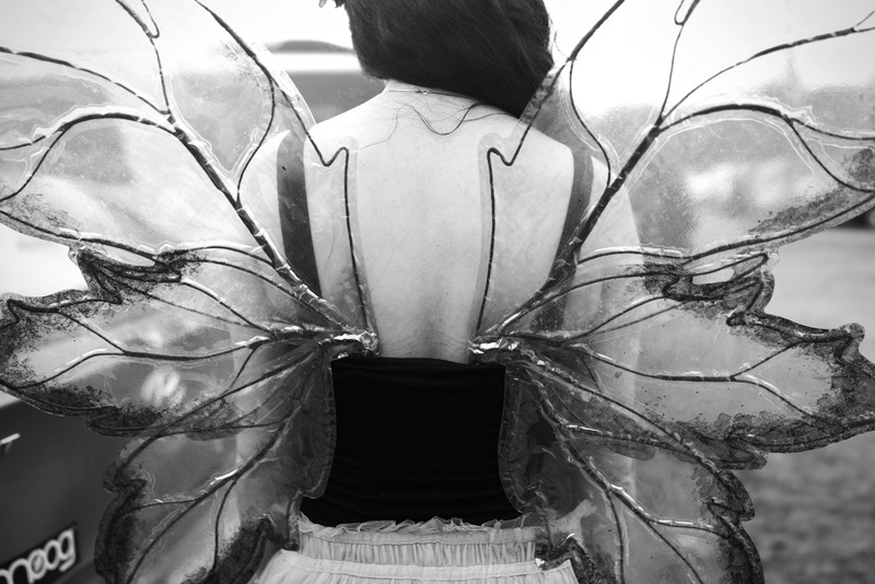 Whispers of Enchantment