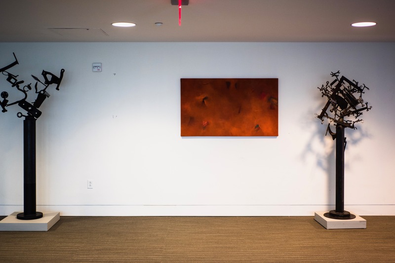 Contrasting Forms and Colors