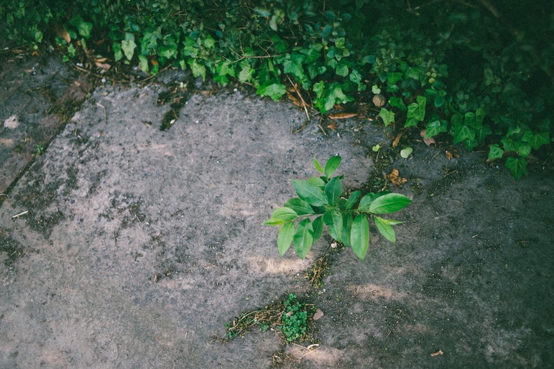 Resilience Among Concrete