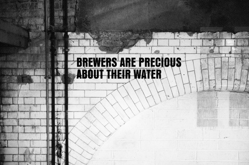 Whispers of Brewing Wisdom