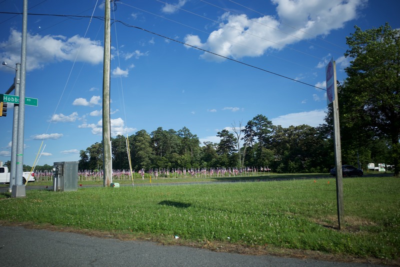 Field of Flags
