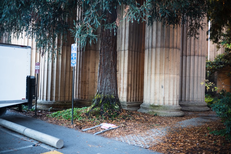 Nature and Architecture Intertwined