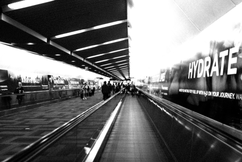 Journey Through the Terminal