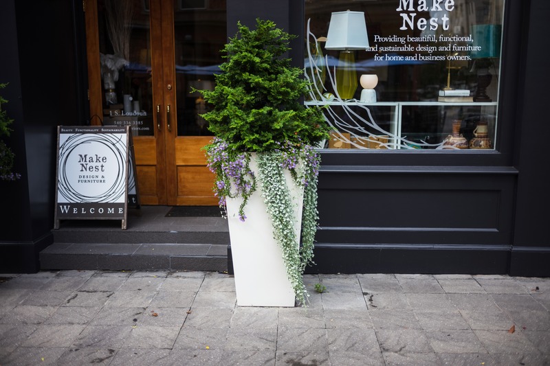 Urban Serenity by the Shop