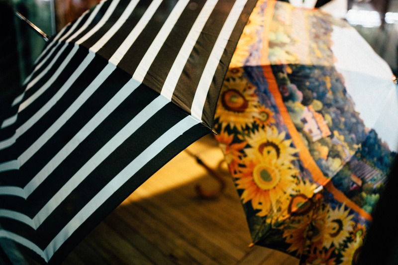 Whimsical Umbrella Contrast
