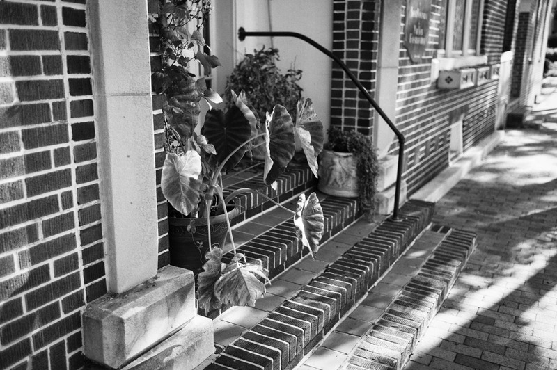 A Quiet Corner of Home