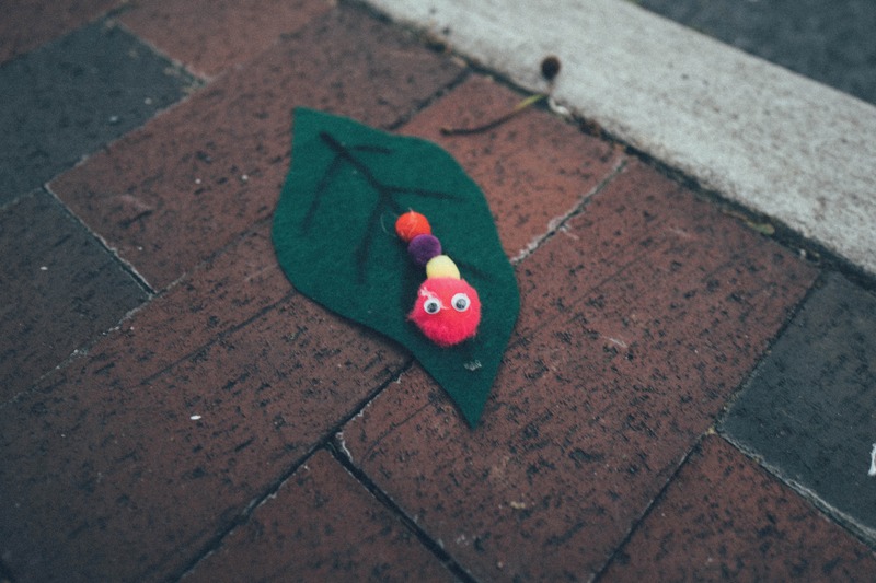 Playful Encounter on Pavement