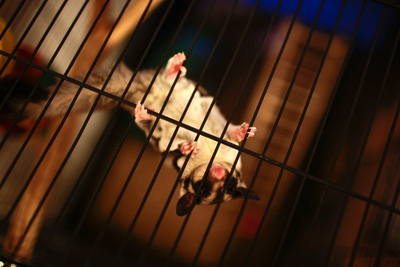 Upside Down Curiosity