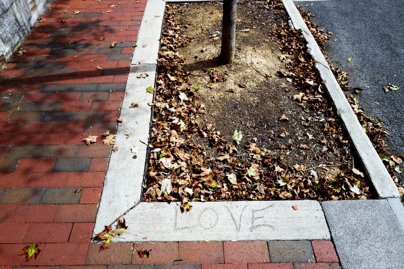 Urban Love in Autumn