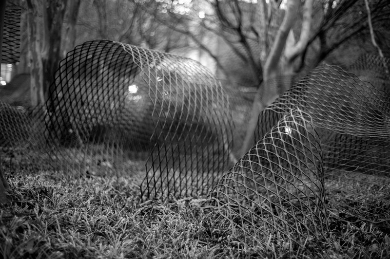 Veiled Entanglements