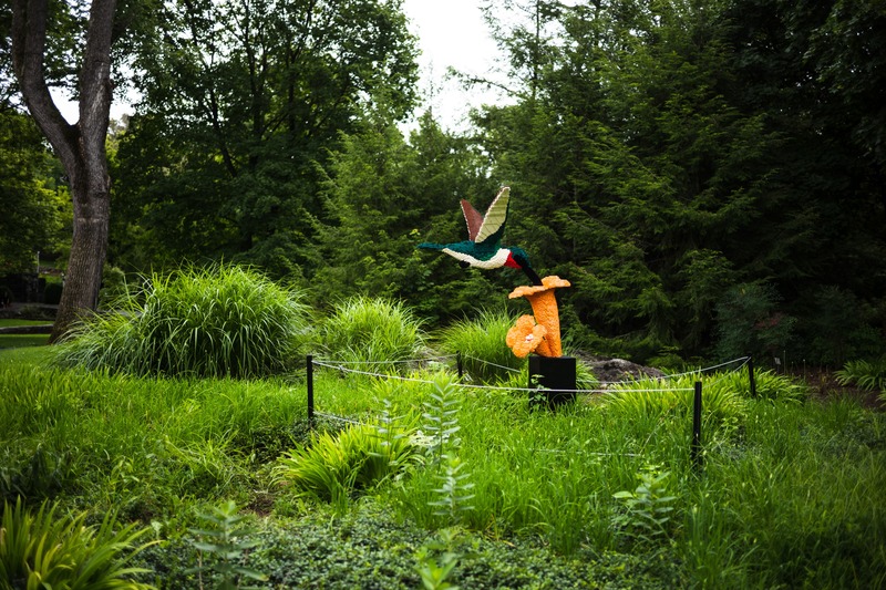 Whimsy in the Garden